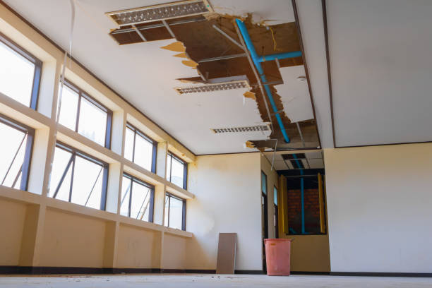 Best 24/7 water damage repair  in Red Oaks Mill, NY