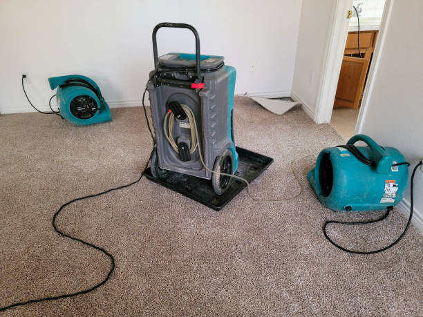 Best Water damage contractors near me  in Red Oaks Mill, NY