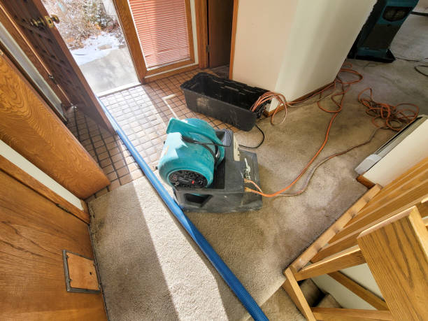 Best Sewage cleanup and water damage restoration  in Red Oaks Mill, NY