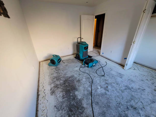 Best Water damage cleanup near me  in Red Oaks Mill, NY