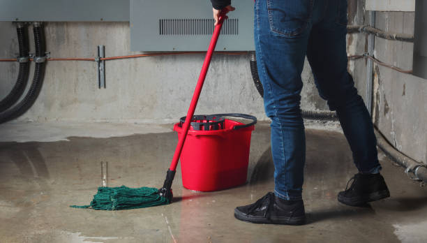Best Flooded house restoration  in Red Oaks Mill, NY