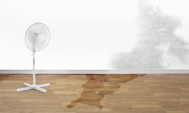 Water damage restoration mold remediation in Red Oaks Mill, NY