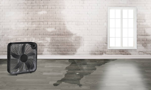 Sewage cleanup and water damage restoration in Red Oaks Mill, NY