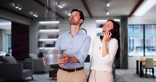 Best Water damage restoration near me  in Red Oaks Mill, NY